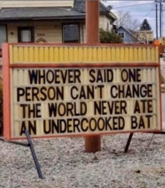 Undercooked bat